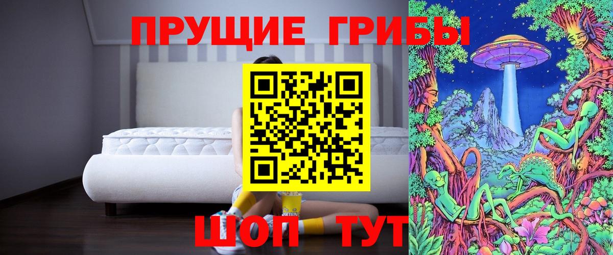 Дзержинск  Псилоцибиновые грибы Magic Shrooms  Вход с VPN 